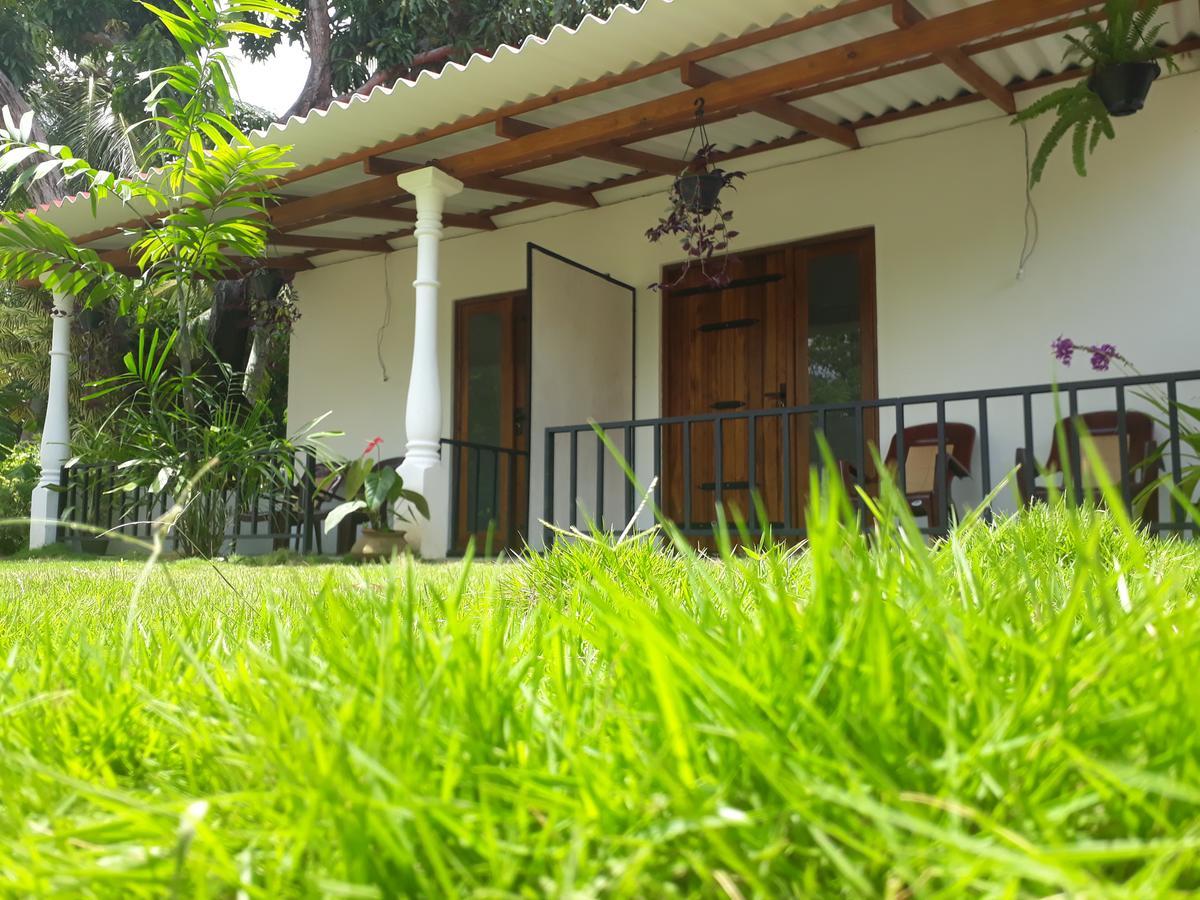 Akila Holiday Resort Habarana Zewnętrze zdjęcie